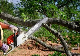 Soil Testing and Treatment in Muscle Shoals, AL